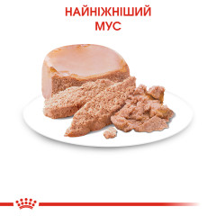 Вологий корм для новонароджених кошенят ROYAL CANIN MOTHER/BABYCAT Cans 195г